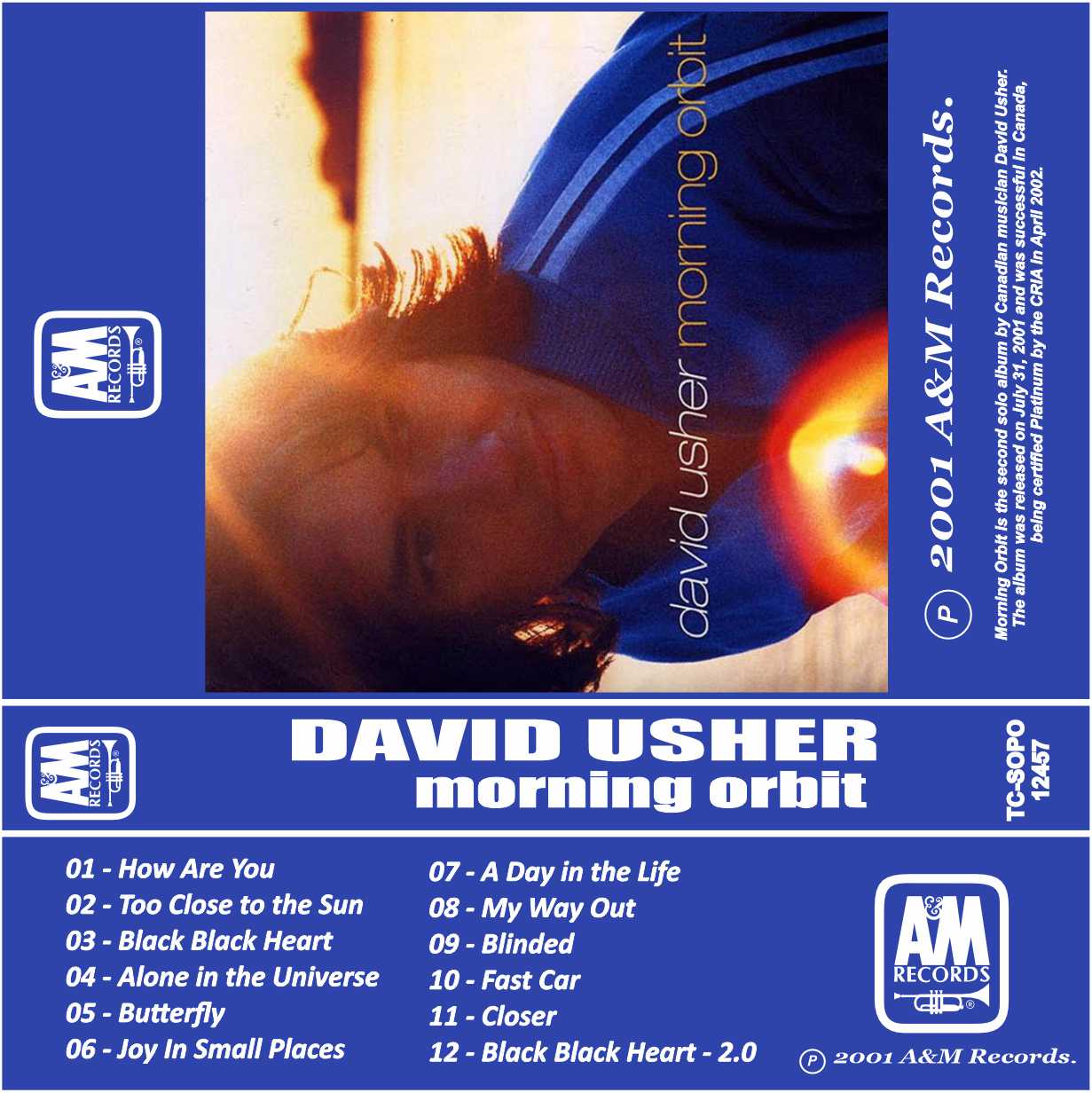 David Usher-Morning Orbit